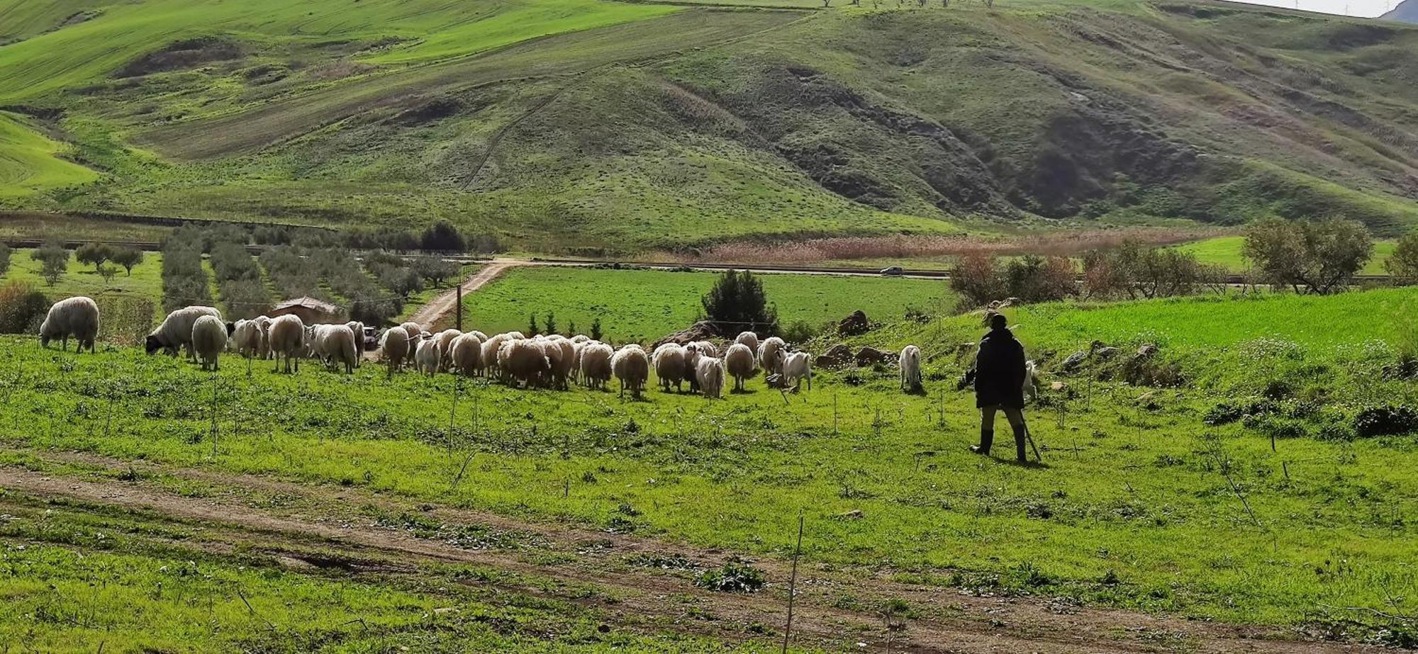 B&B Della Via Francigena アグリジェント エクステリア 写真