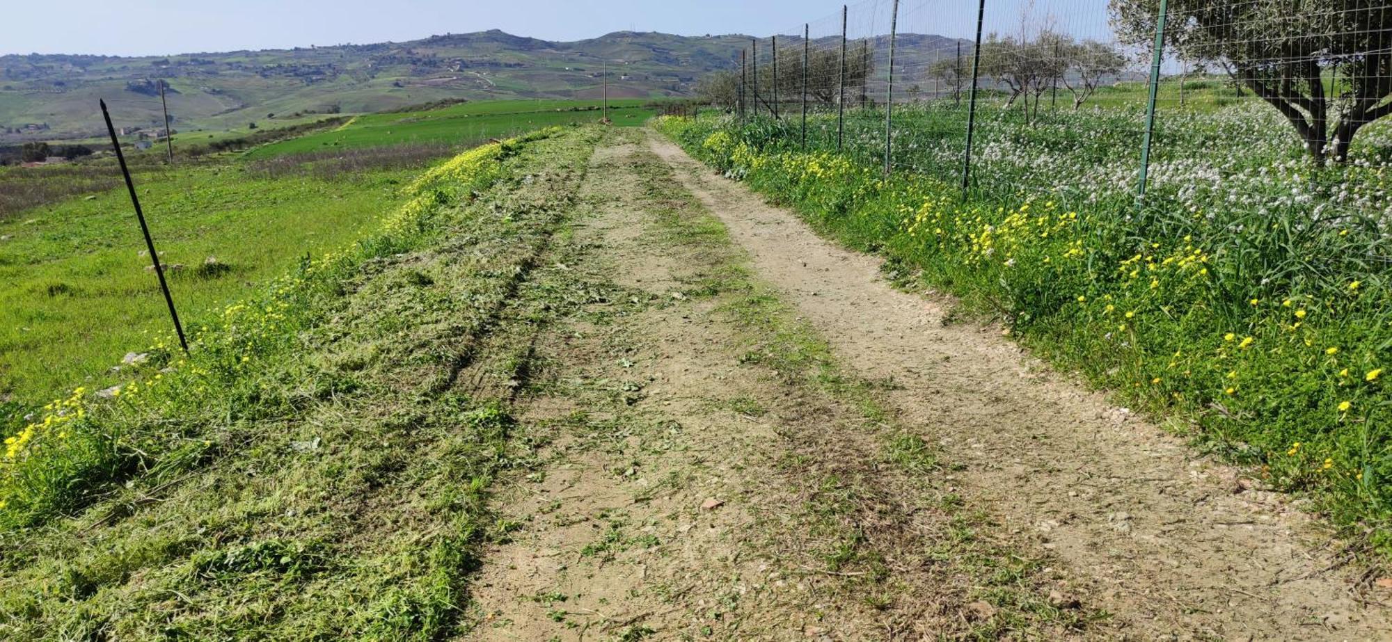 B&B Della Via Francigena アグリジェント エクステリア 写真